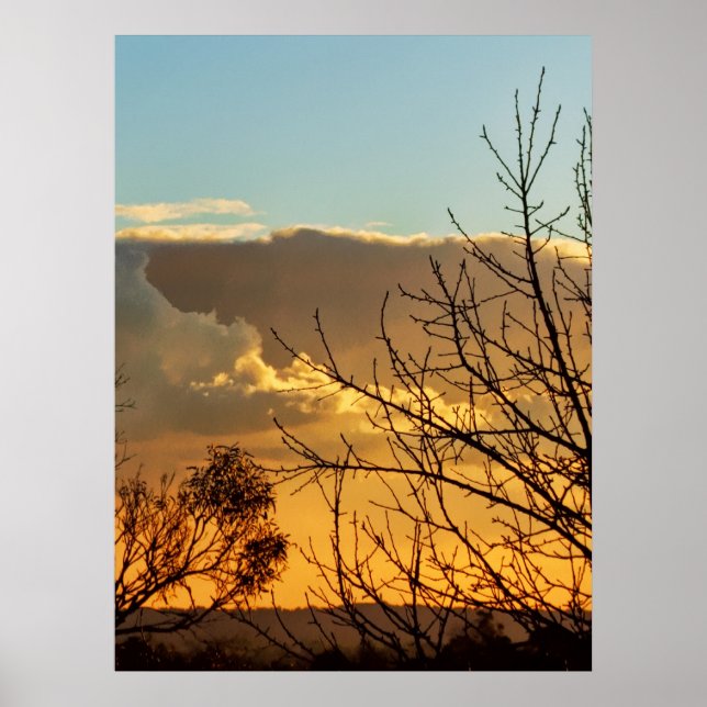 Ferntree Gully Skyscapes Poster (Framsidan)