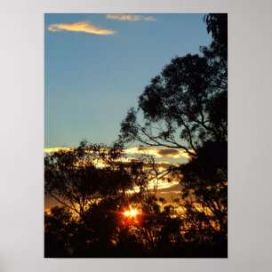 Ferntree Gully sol twinkle Poster