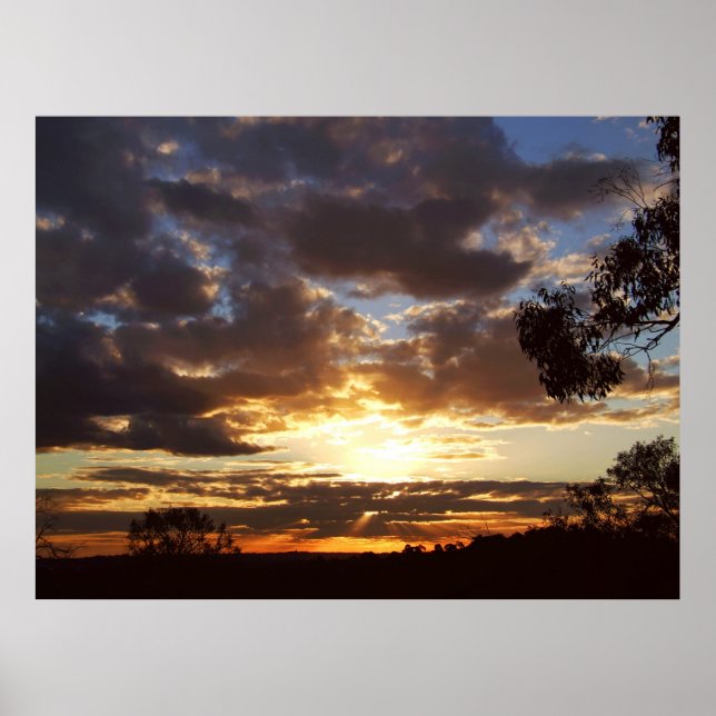 Ferntree Gully Sunset Poster (Framsidan)