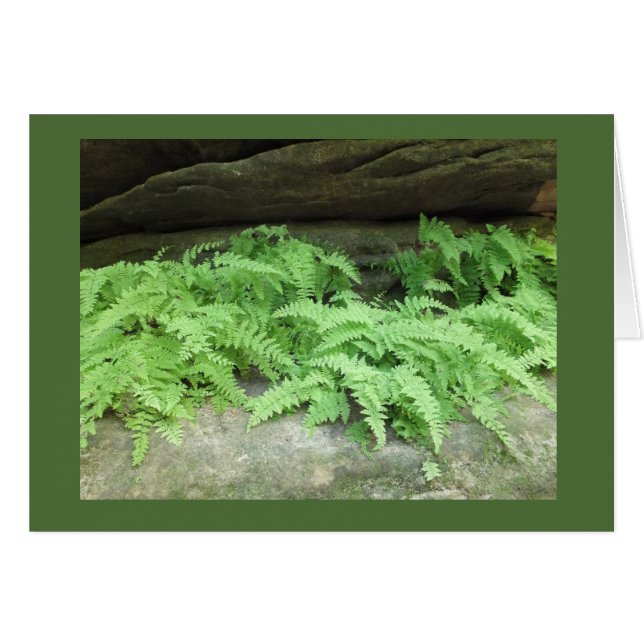 Ferny avsats hälsningskort (Framsidan Horizontal)