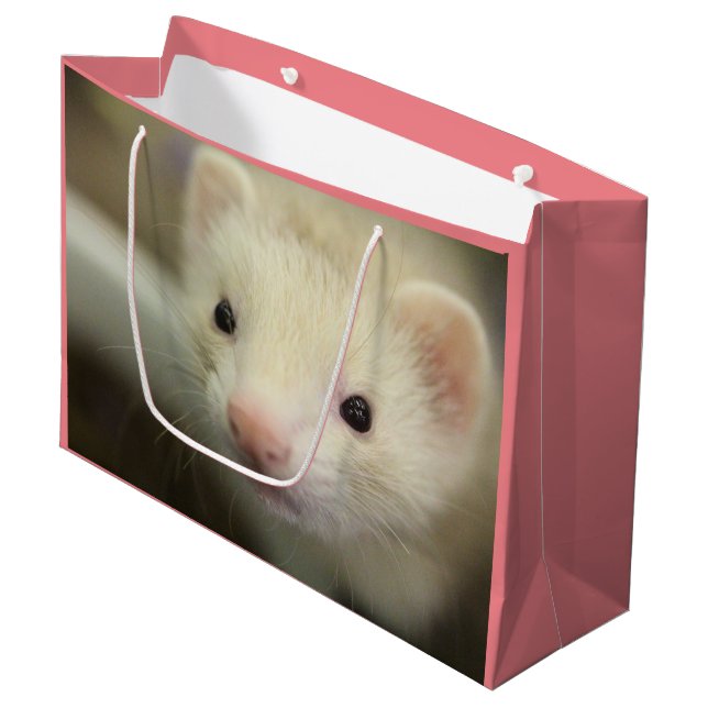 Ferret ansikte (Framsidan Vinklad)