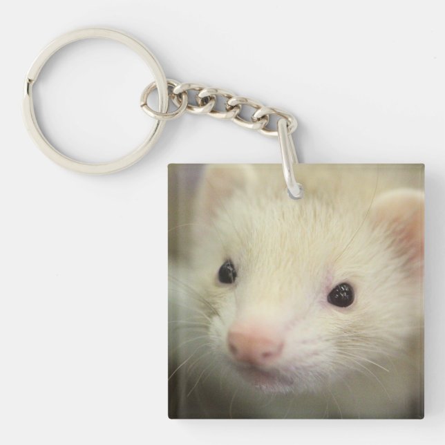 Ferret ansikte (Framsidan)