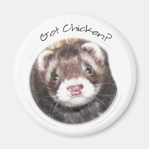 Ferret Ansikte Bild Magnet