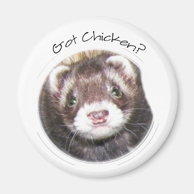 Ferret Ansikte Bild Magnet (Framsidan)