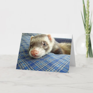 Ferret Ansikte Birthday Card Kort