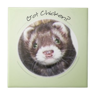 Ferret Ansikte Har Chicken? Kakelplatta