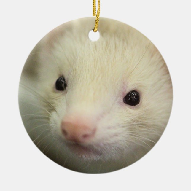Ferret ansikte julgransprydnad keramik (Framsidan)