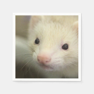 Ferret ansikte pappersservett