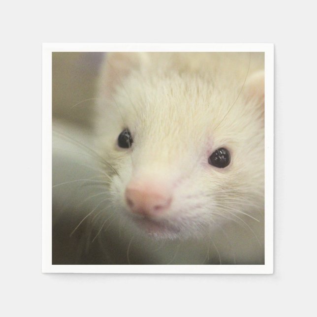 Ferret ansikte pappersservett (Framsidan)