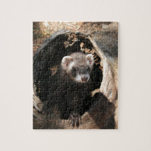 Ferret Ansikte Pussel