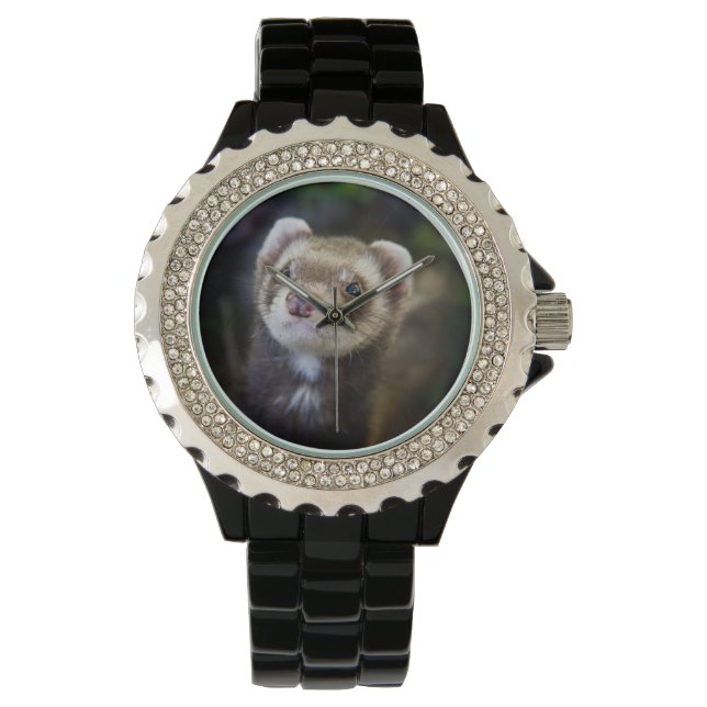 Ferret Armbandsur (Framsida)