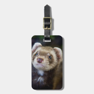 Ferret Bagagebricka