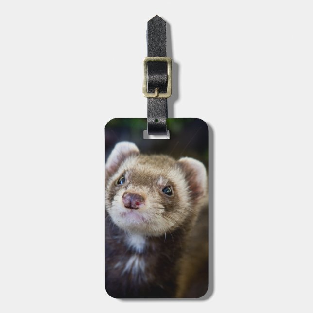 Ferret Bagagebricka (Vertikal Framsida)