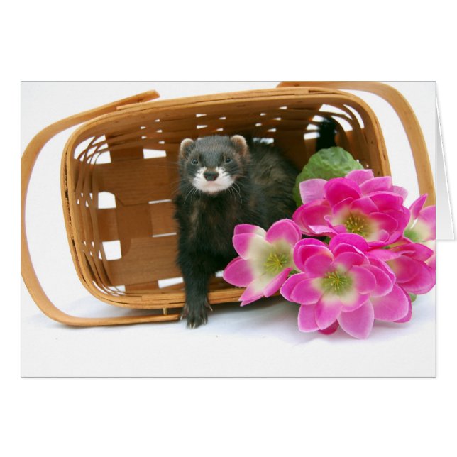 Ferret Card Hälsningskort (Framsidan Horizontal)