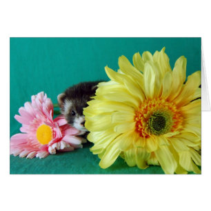 Ferret Card Hälsningskort