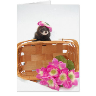 Ferret Card Hälsningskort