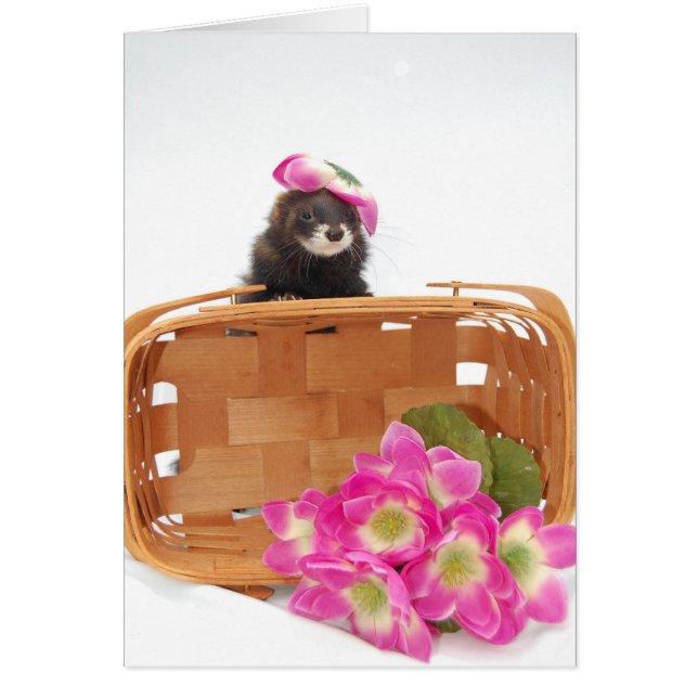 Ferret Card Hälsningskort (Framsidan)