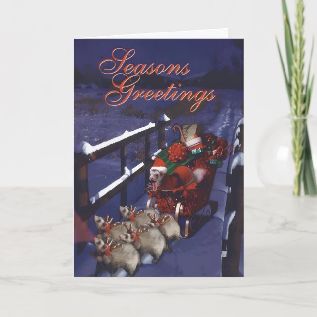 Ferret Claus på språng Kort (Framsida)