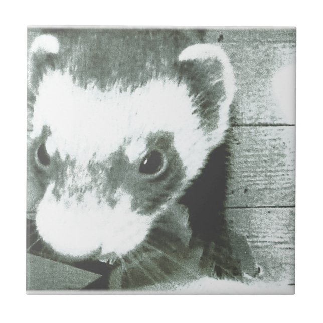 Ferret Cute Bild Kakelplatta (Framsidan)