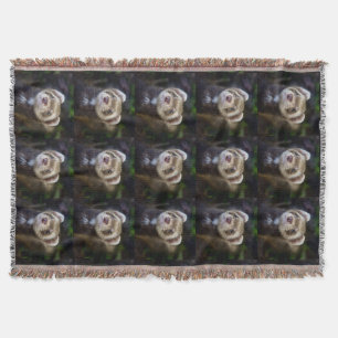 Ferret Filt