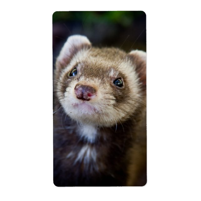 Ferret Fraktsedel (Framsidan)