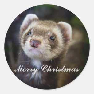 Ferret God jul Runt Klistermärke