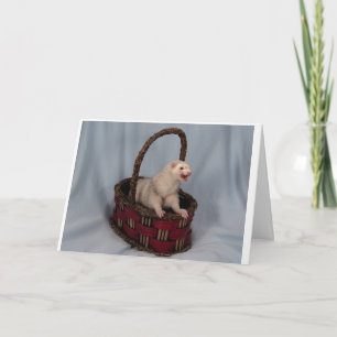Ferret Greeting Card Kort