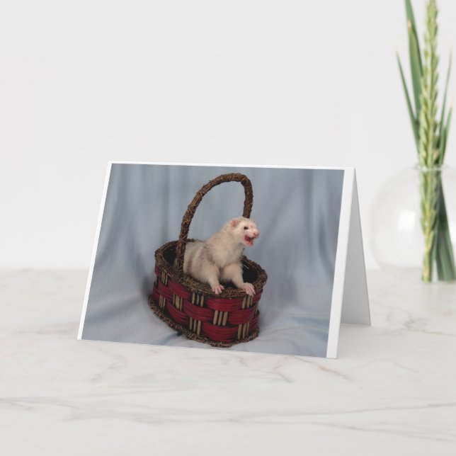 Ferret Greeting Card Kort (Framsida)