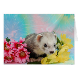 Ferret Hälsningskort