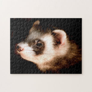 Ferret Head Close-up, Jigszons Puzzle Pussel