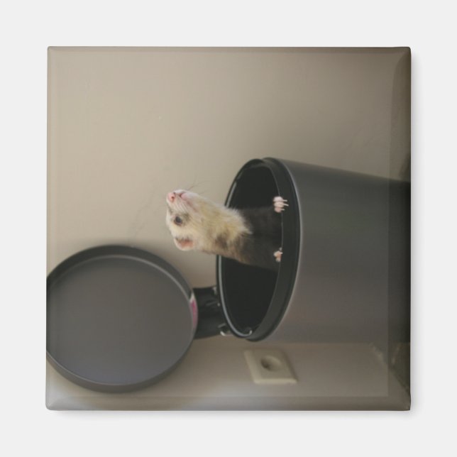 Ferret i en trashcan magnet (Framsidan)
