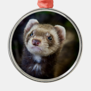 Ferret Julgransprydnad Metall