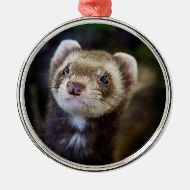 Ferret Julgransprydnad Metall (Framsidan)