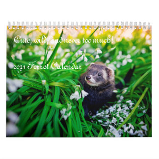 Ferret Kalender 2021