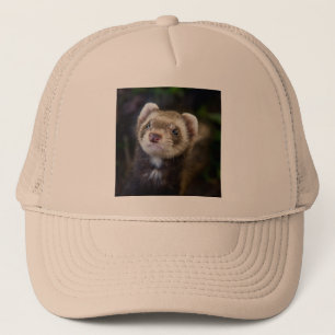 Ferret Keps