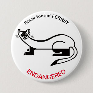 Ferret - knapp
