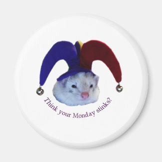 Ferret måndag magnet