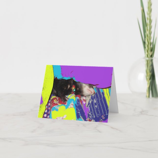 Ferret Nap Birthday Card Kort (Framsida)