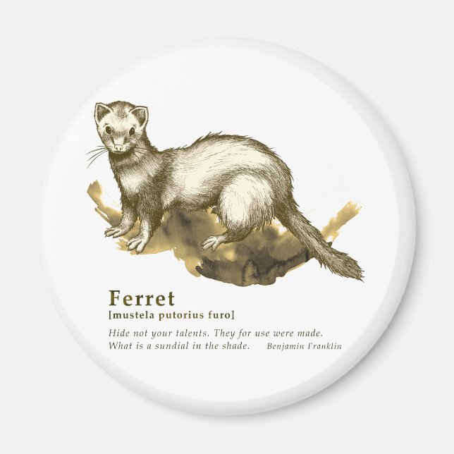 Ferret - sepia magnet (Framsidan)