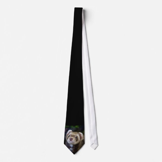 Ferret Slips (Framsida)