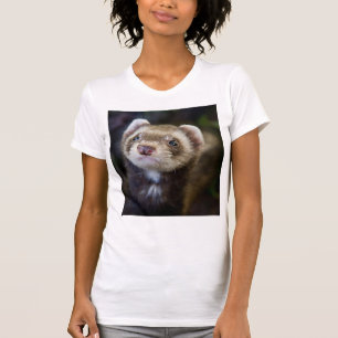 Ferret Tröja