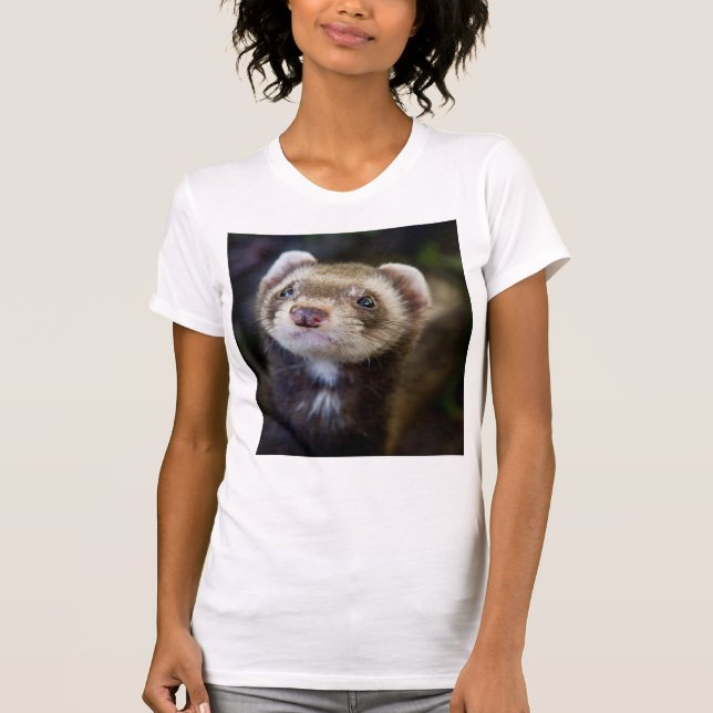 Ferret Tröja (Framsida)