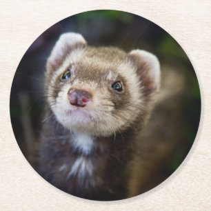 Ferret Underlägg Papper Rund