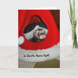 Ferret väntar på julkort helgkort