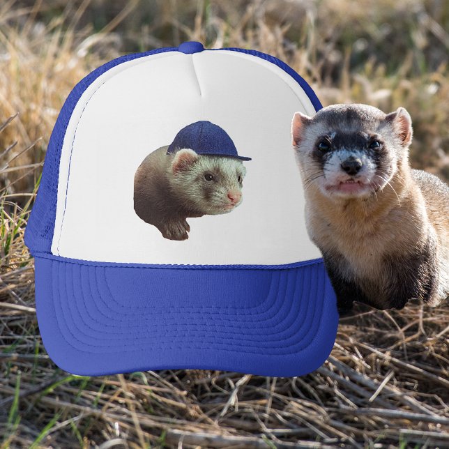 Ferret Wear Blue Headår Photo Keps (Ferret Wearing Blue Headgear Photo Trucker Hat)