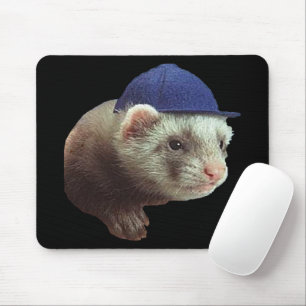 Ferret Wearing Blue Hat Musmatta