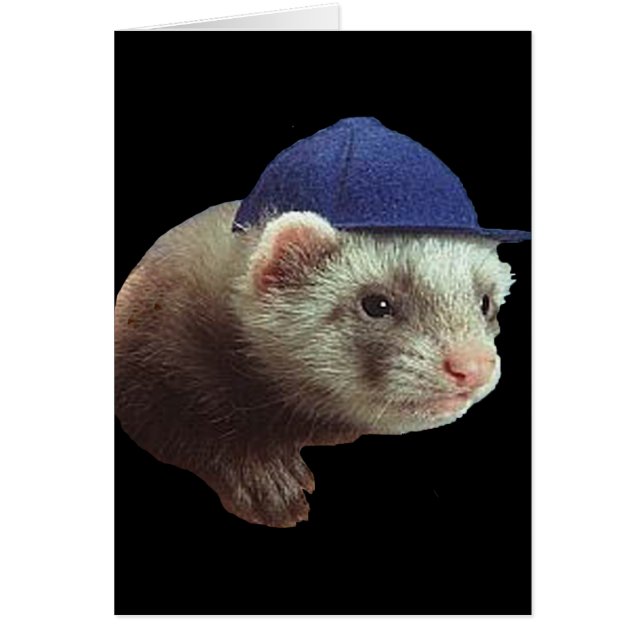 Ferret Wearing Hat Hälsningskort (Framsidan)