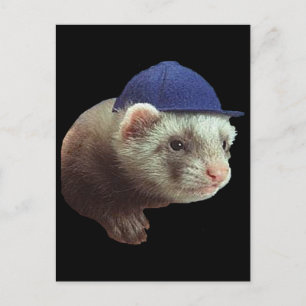 Ferret Wearing Hat Vykort