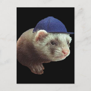 Ferret Wearing Hat Vykort