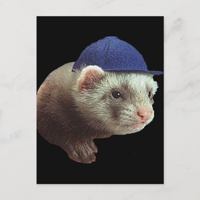 Ferret Wearing Hat Vykort (Framsida)